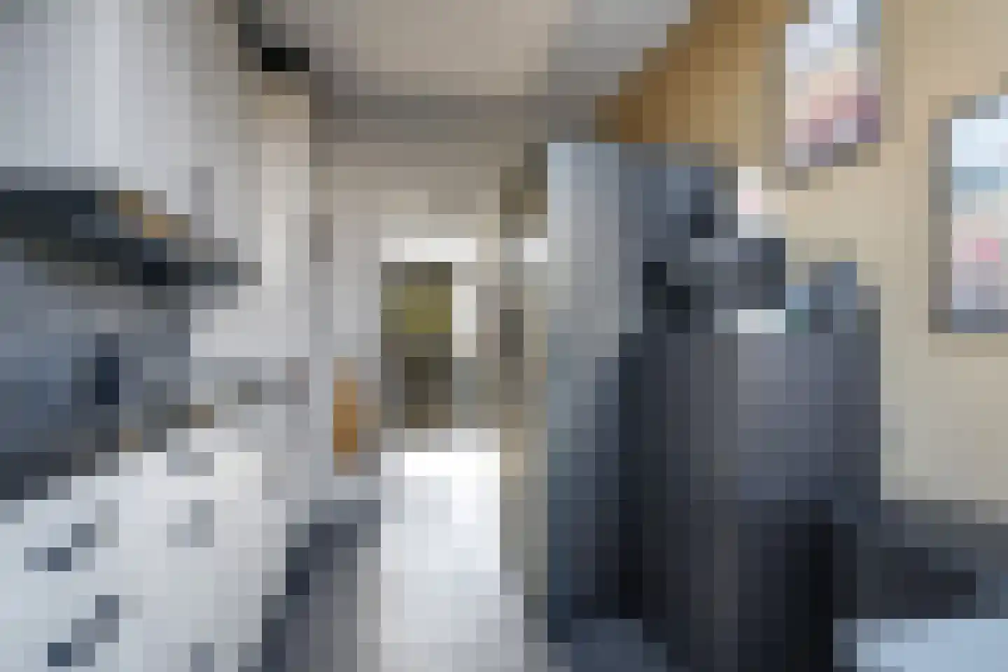Marshallstraat 4 Zetten thumbnail 33