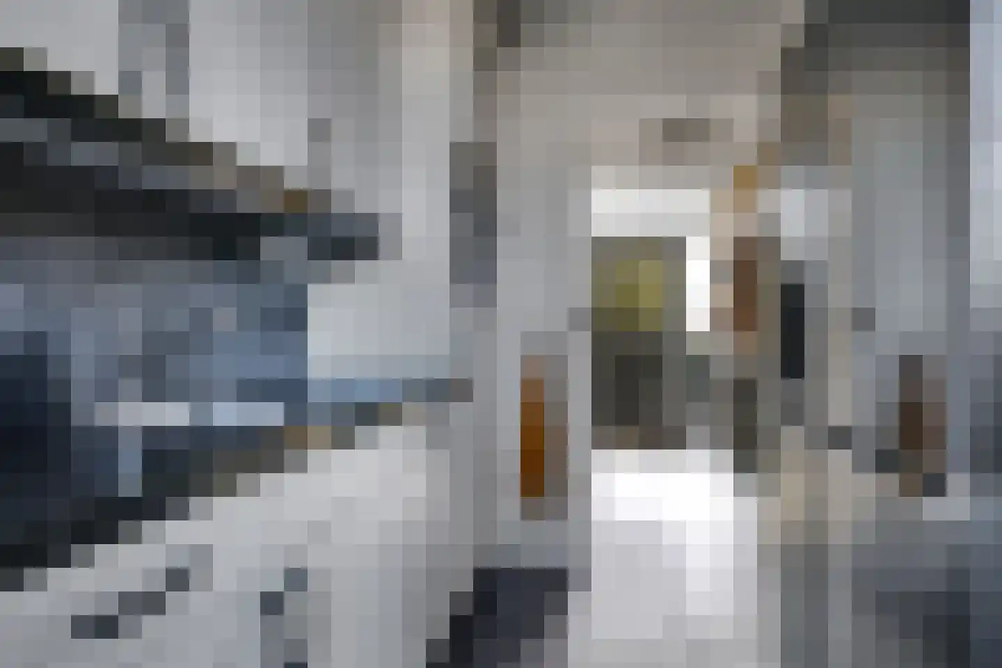 Marshallstraat 4 Zetten thumbnail 34