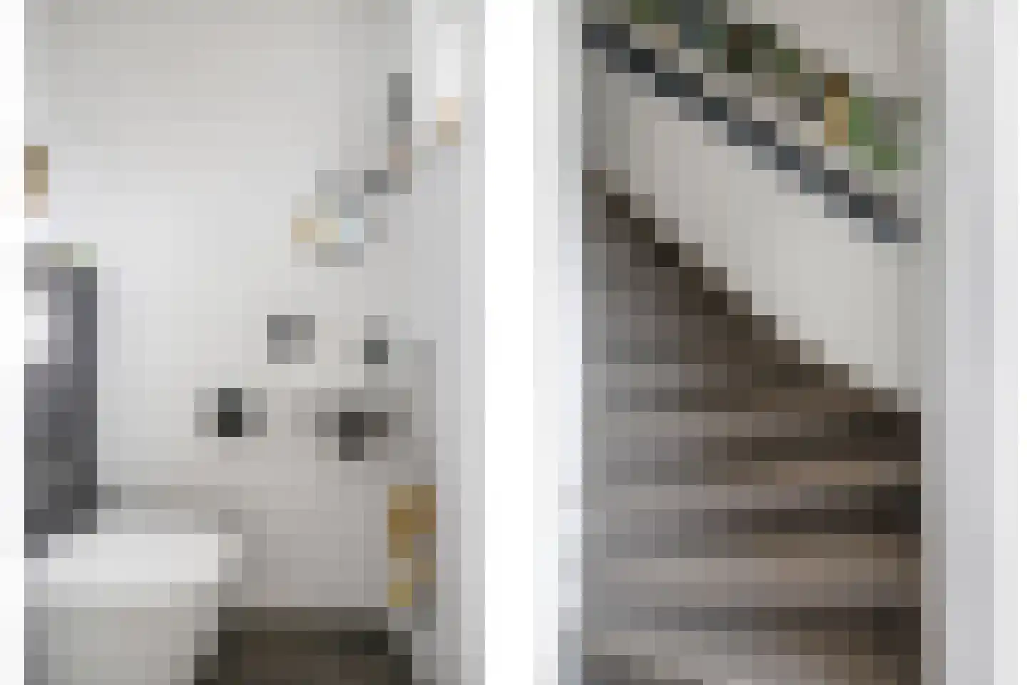 Marshallstraat 4 Zetten thumbnail 36