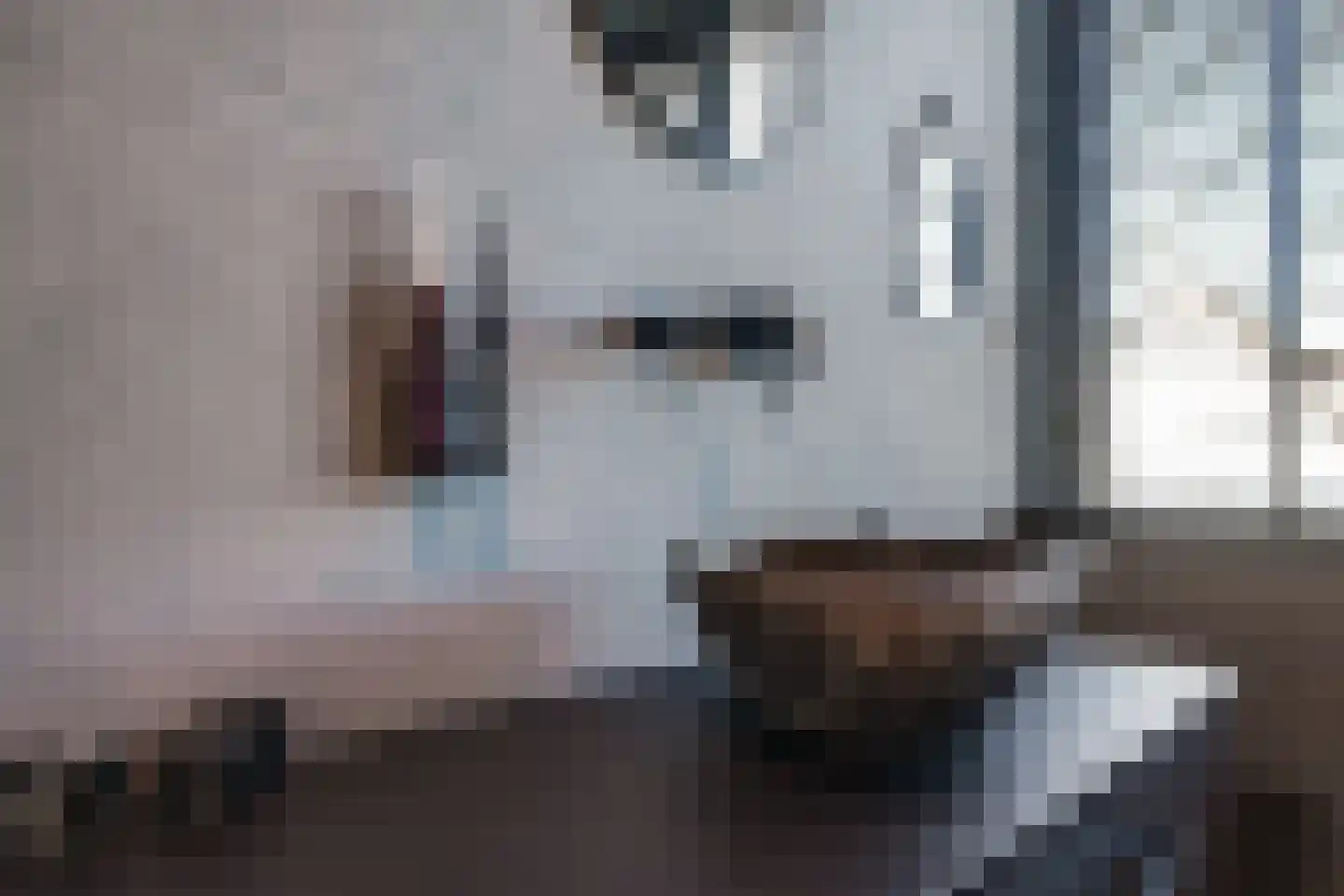 Marshallstraat 4 Zetten thumbnail 43