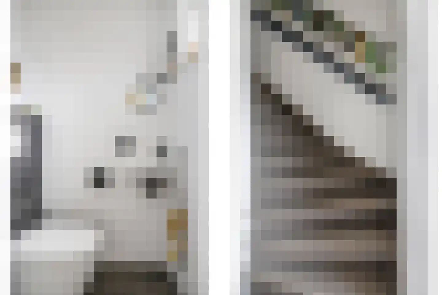 Marshallstraat 4 Zetten thumbnail 6