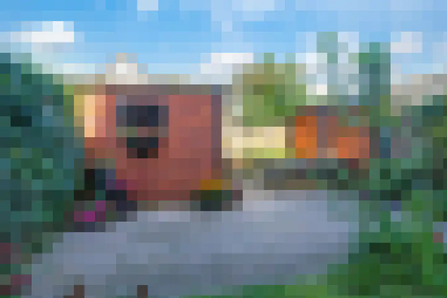 Marshallstraat 4 Zetten thumbnail 65