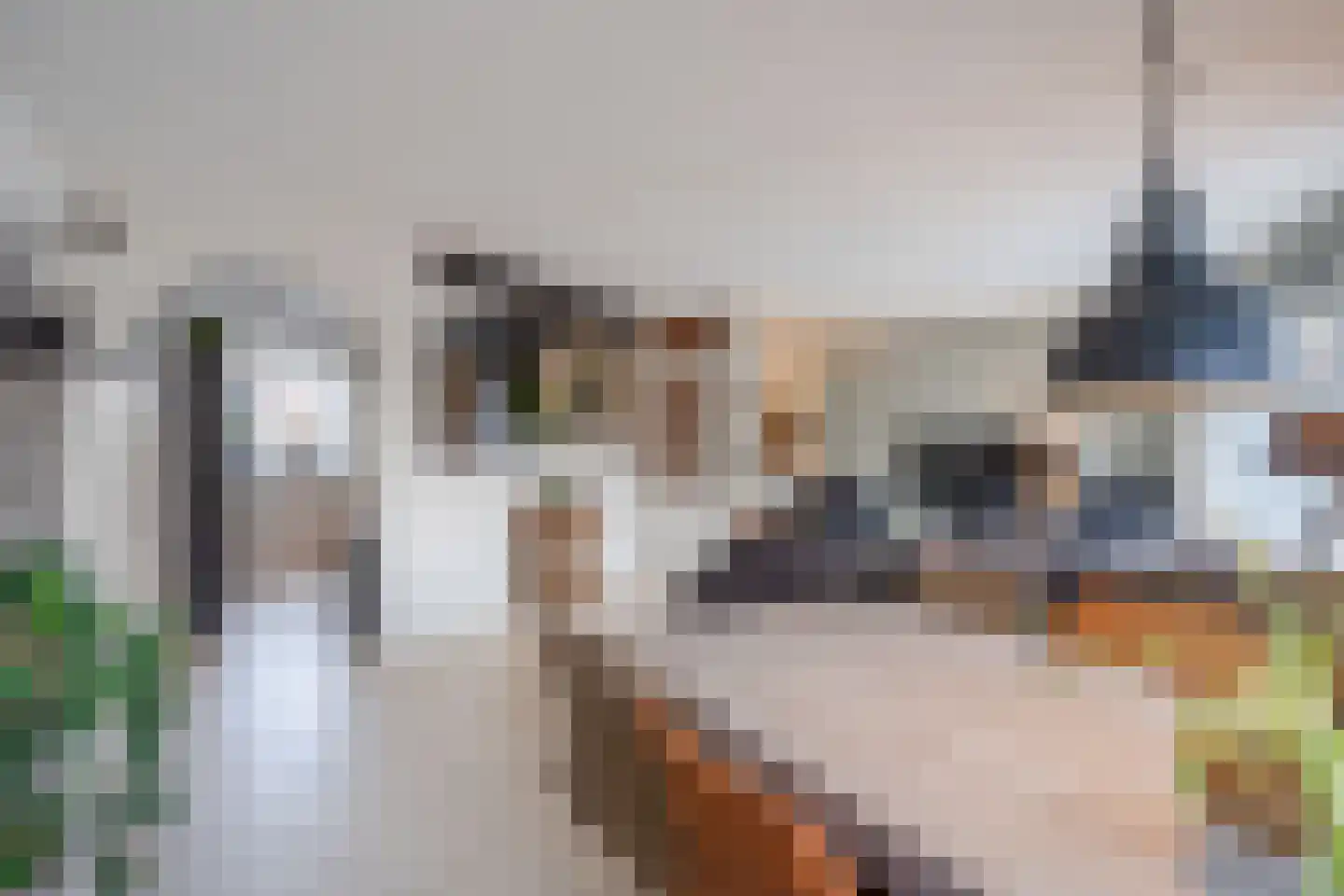 Marshallstraat 50 Egmond aan Zee thumbnail 30
