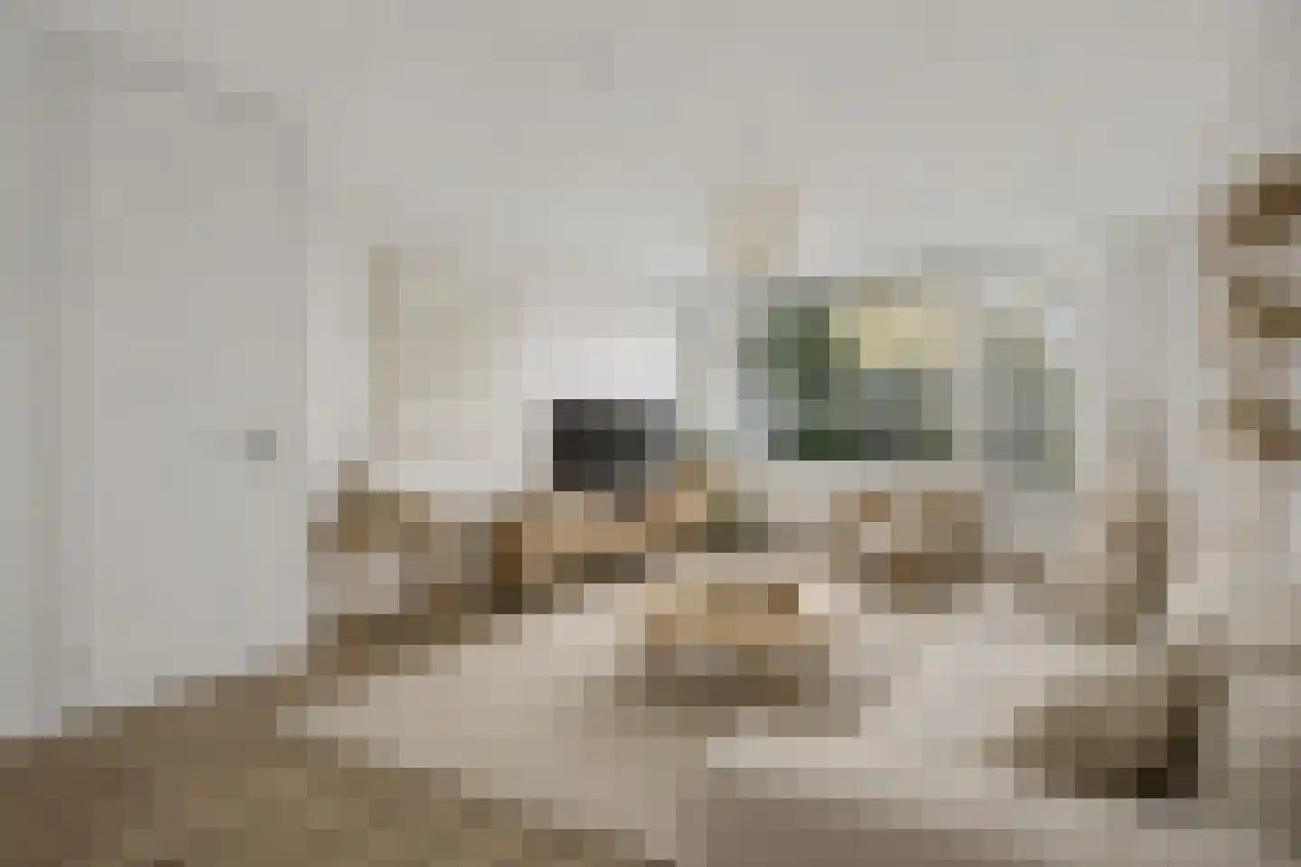 Marshallstraat 54 Goes thumbnail 10