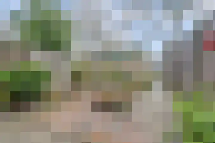 Marshallstraat 54 Goes thumbnail 22