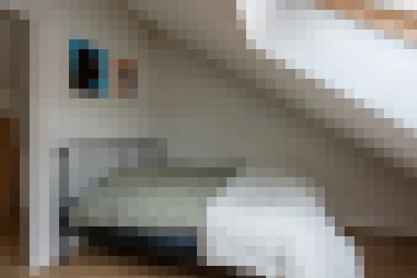 Marshallstraat 66 Goes thumbnail 38