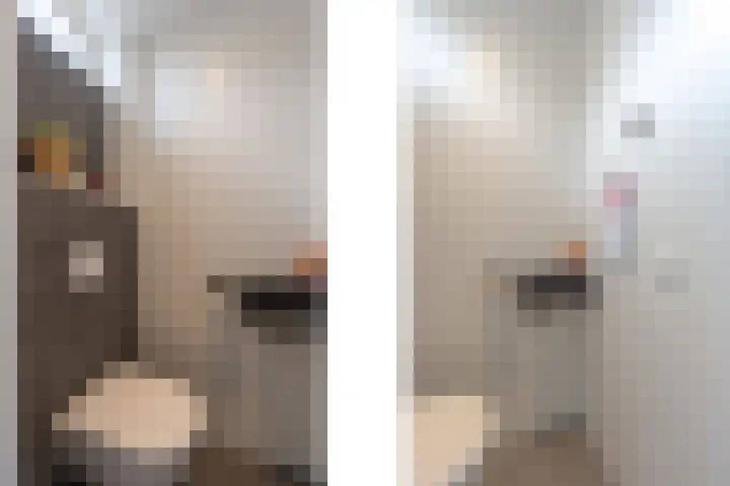 Marshallstraat 66 Goes thumbnail 43