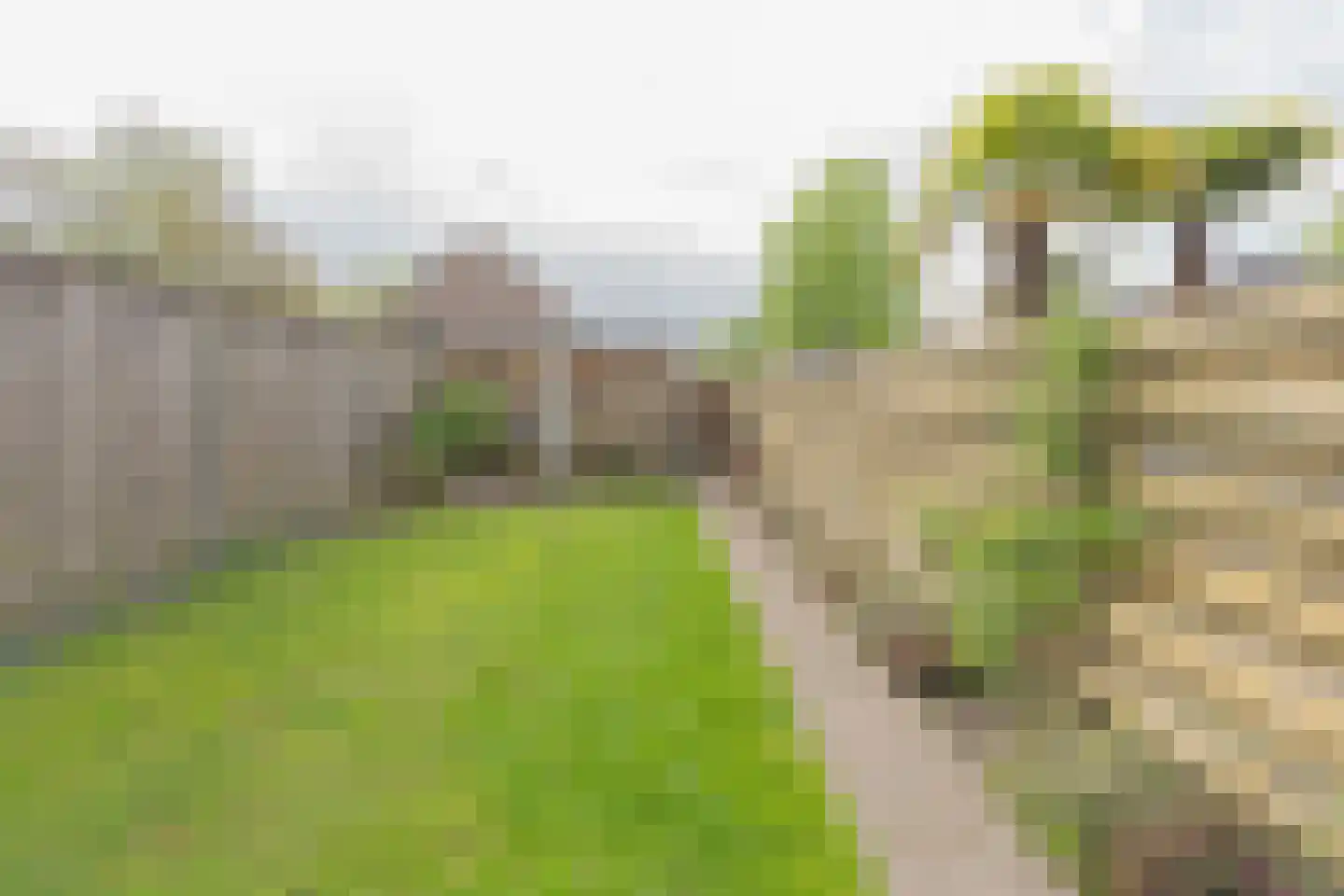 Marshallstraat 66 Goes thumbnail 44
