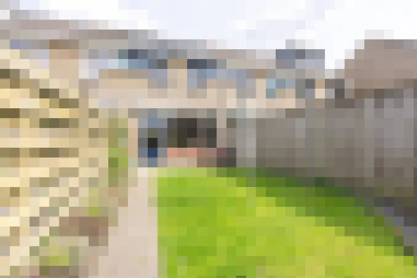 Marshallstraat 66 Goes thumbnail 48