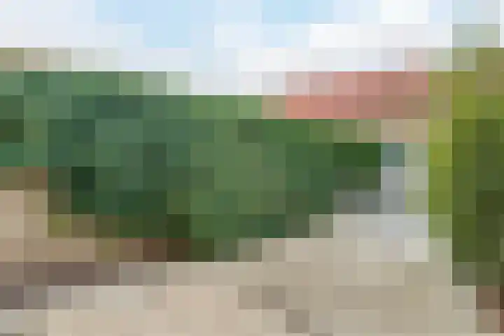 Marshallstraat 85 Egmond aan Zee thumbnail 42