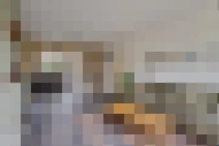 Marshallstraat 9 Oss thumbnail 6