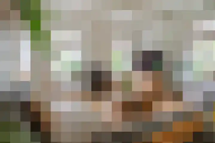 Marsherne 19 Poppenwier thumbnail 13