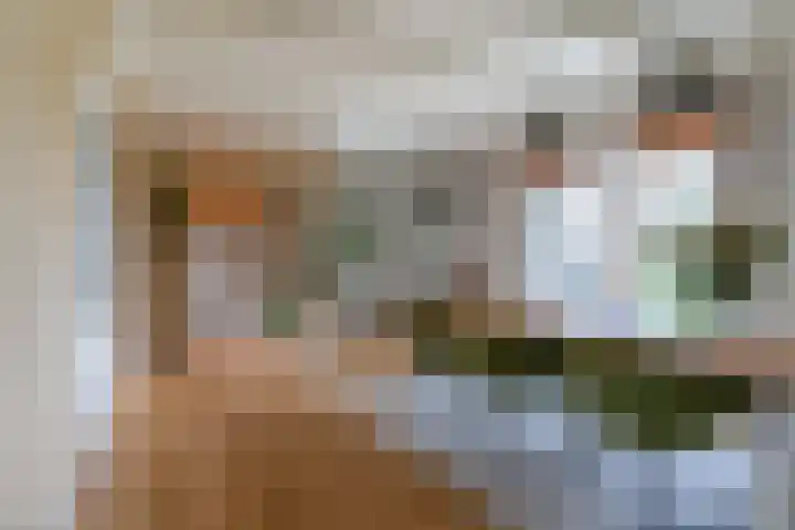 Marsherne 19 Poppenwier thumbnail 16