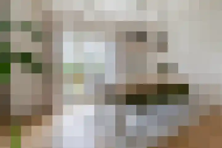 Marsherne 19 Poppenwier thumbnail 19