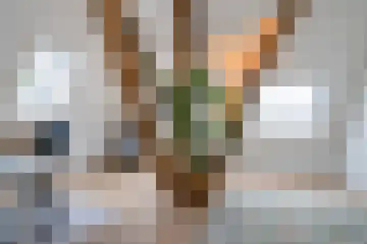 Marsherne 19 Poppenwier thumbnail 26
