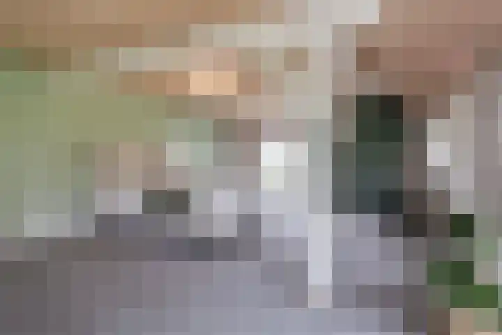 Marsherne 19 Poppenwier thumbnail 30