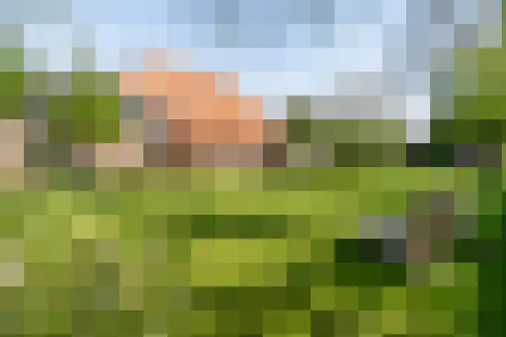 Marsherne 19 Poppenwier thumbnail 4
