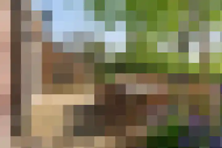 Marsherne 19 Poppenwier thumbnail 42