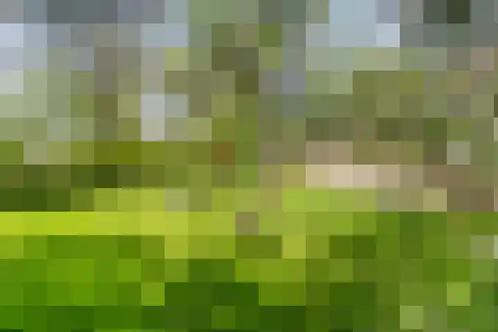 Marsherne 19 Poppenwier thumbnail 45
