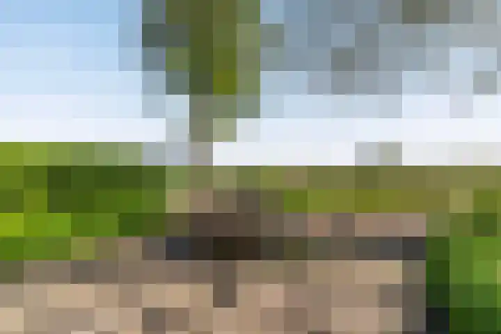 Marsherne 19 Poppenwier thumbnail 46