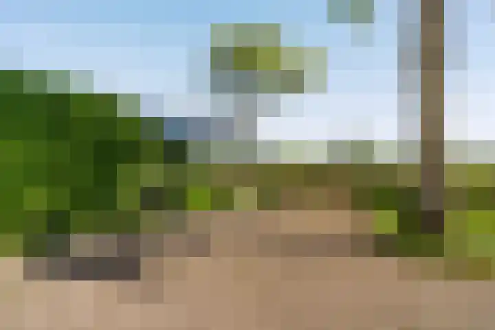 Marsherne 19 Poppenwier thumbnail 47