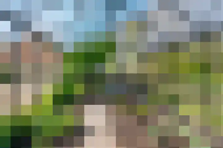 Marsherne 19 Poppenwier thumbnail 48