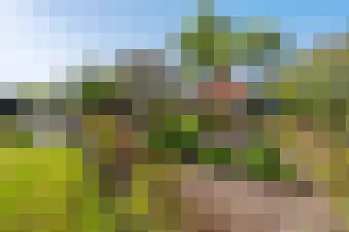 Marsherne 19 Poppenwier thumbnail 5
