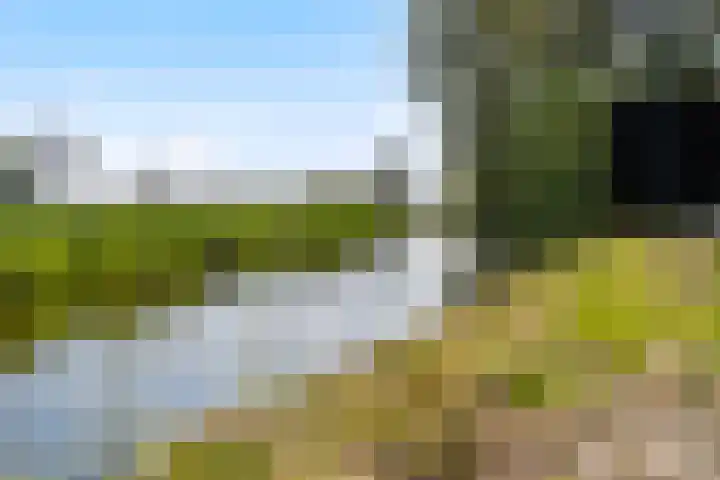 Marsherne 19 Poppenwier thumbnail 52