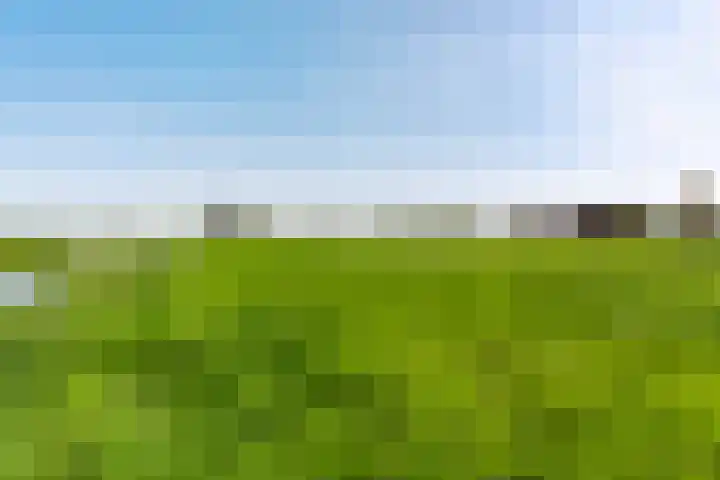 Marsherne 19 Poppenwier thumbnail 53