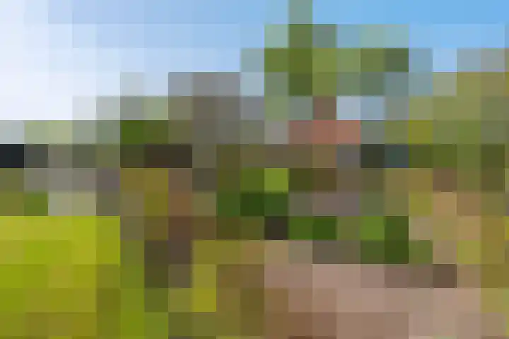 Marsherne 19 Poppenwier thumbnail 54