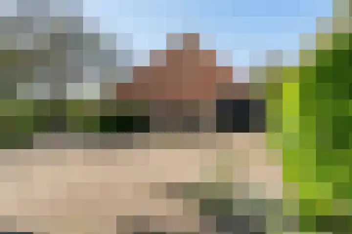 Marsherne 19 Poppenwier thumbnail 55