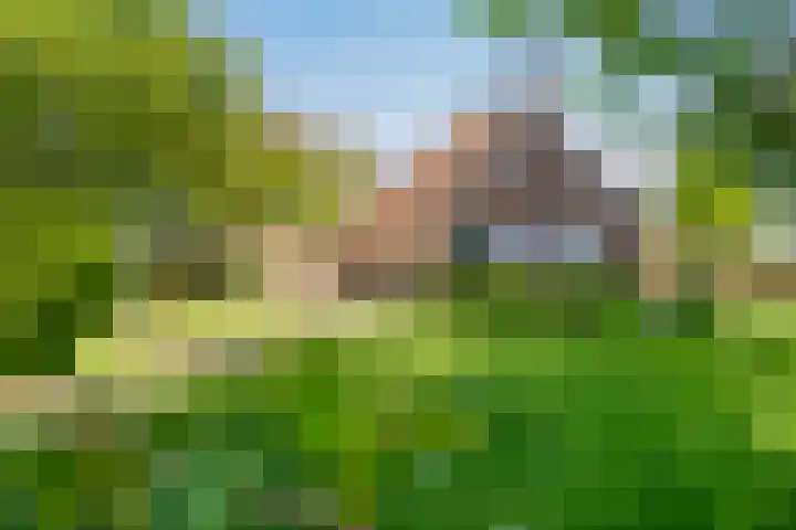Marsherne 19 Poppenwier thumbnail 57