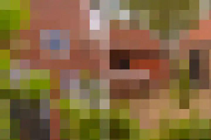 Marsherne 19 Poppenwier thumbnail 60