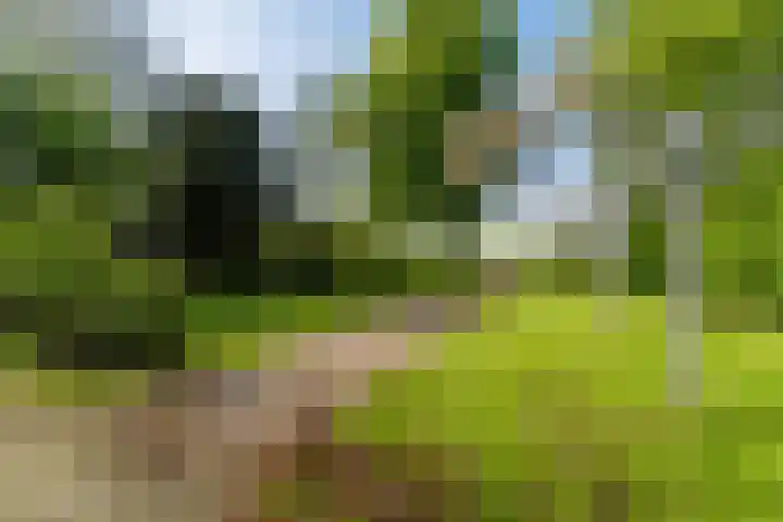Marsherne 19 Poppenwier thumbnail 61