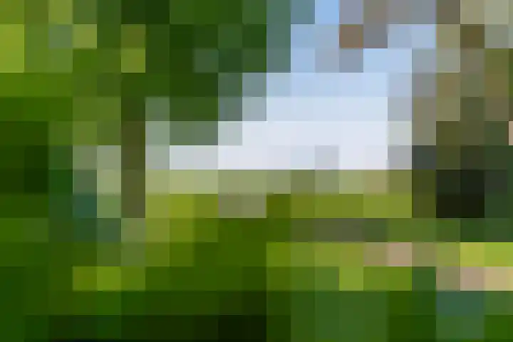 Marsherne 19 Poppenwier thumbnail 62