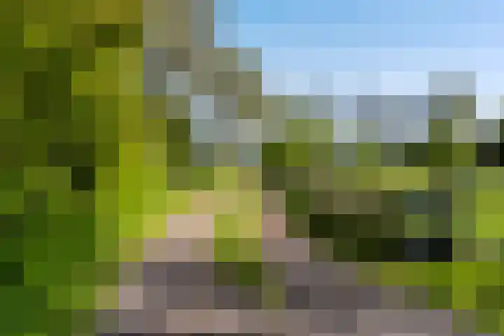 Marsherne 19 Poppenwier thumbnail 64