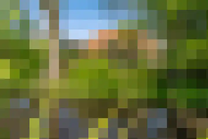 Marsherne 19 Poppenwier thumbnail 65