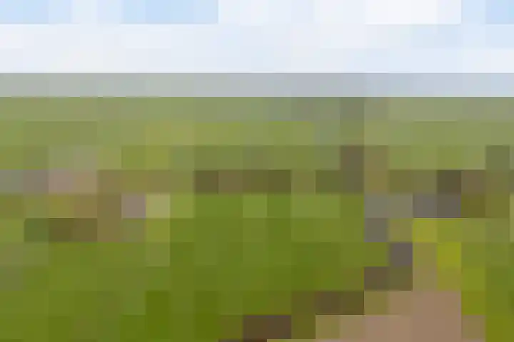 Marsherne 19 Poppenwier thumbnail 67