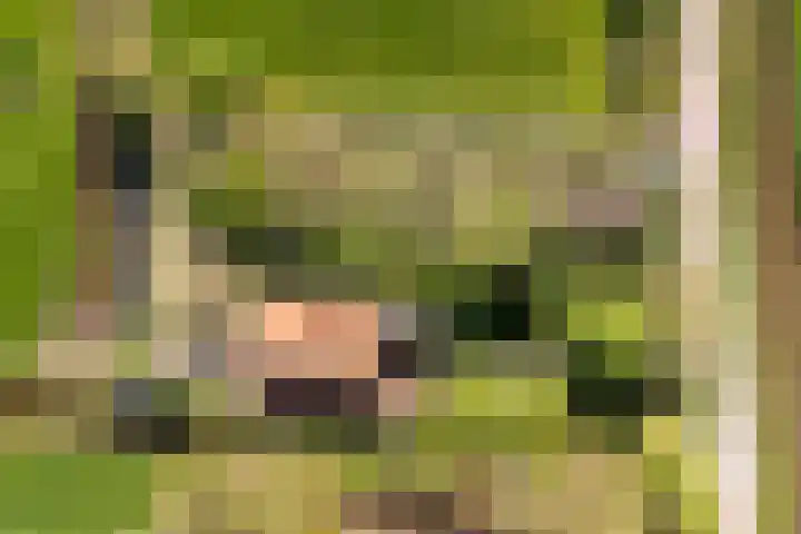 Marsherne 19 Poppenwier thumbnail 69