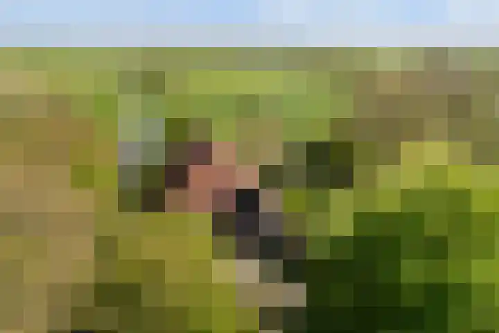 Marsherne 19 Poppenwier thumbnail 70