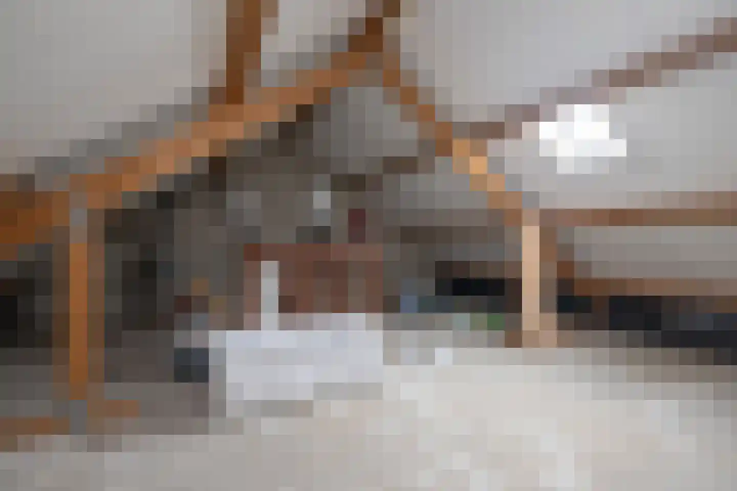 Marshof 13 Oude-Tonge thumbnail 28