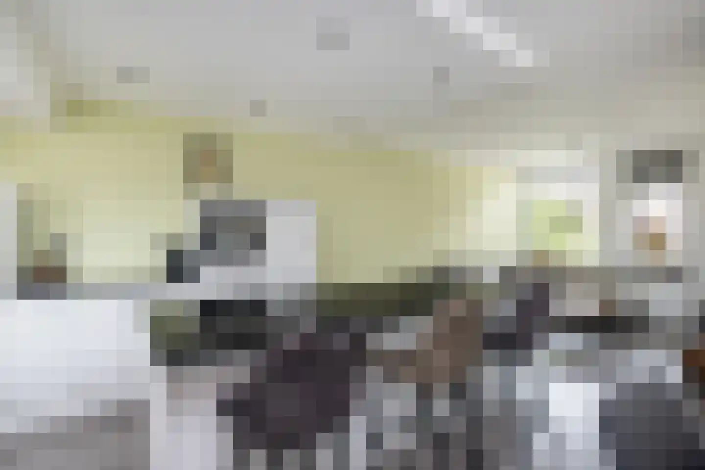 Marshof 13 Oude-Tonge thumbnail 8