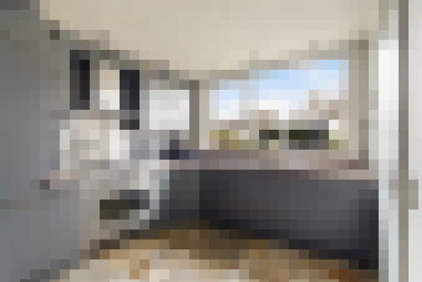 Marshof 31 Berkel en Rodenrijs thumbnail 12