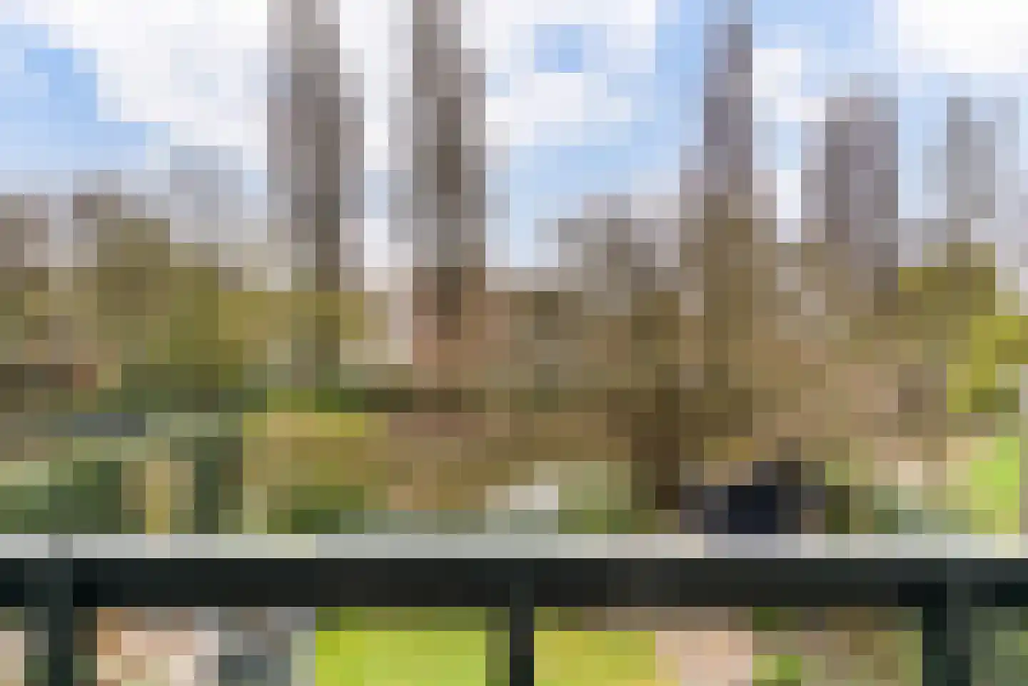 Marshof 31 Berkel en Rodenrijs thumbnail 4