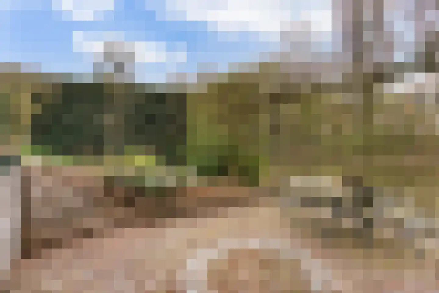 Marshof 31 Berkel en Rodenrijs thumbnail 45