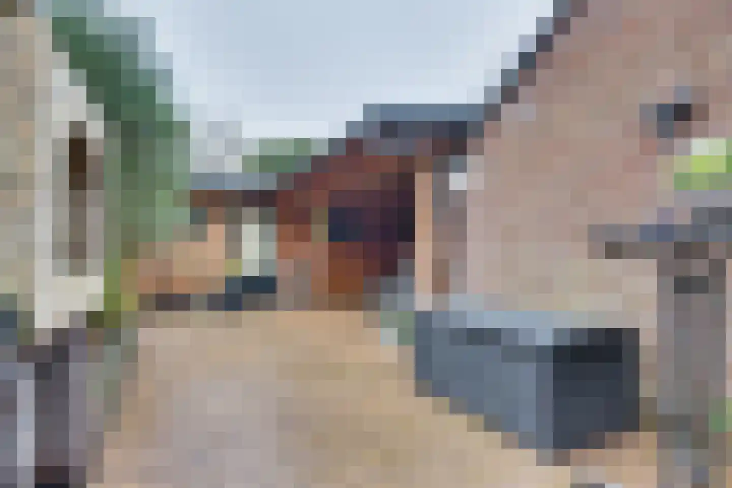 Marshof 35 Oude-Tonge thumbnail 45