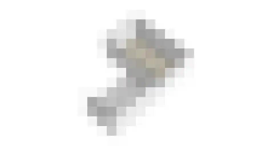 Marshof 35 Oude-Tonge thumbnail 71