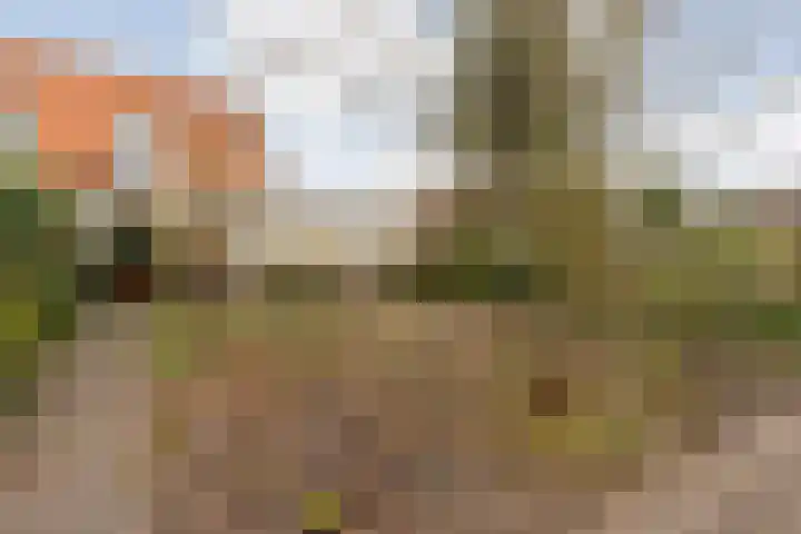Marshovenlaan 16 Coevorden thumbnail 54