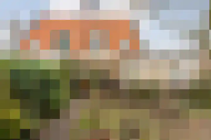 Marshovenlaan 16 Coevorden thumbnail 55