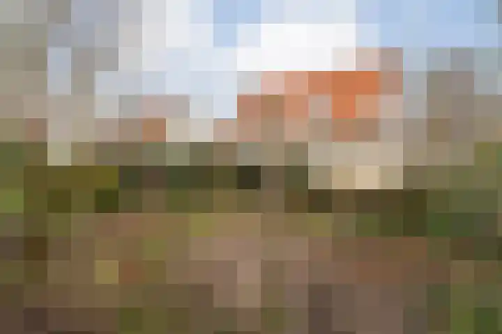Marshovenlaan 16 Coevorden thumbnail 56